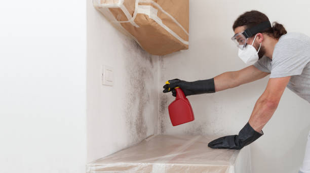 Professional Mold Remediation technician working in Caldwell, TX