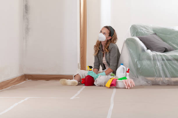 Reliable Mold Remediation contractor in Caldwell, TX by Cheap Mold Removal